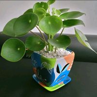 ceramicasmary