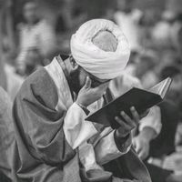 الصوت الأصلي