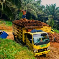 original sound - aldhipratama26