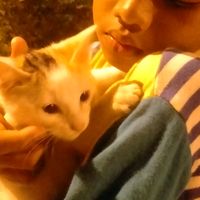 เสียงต้นฉบับ - ฮัยฟา