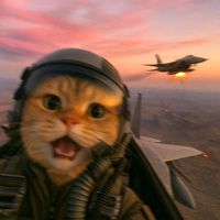 suara asli - "RF DAOP 6 arkan"~🎭🎟️🎫