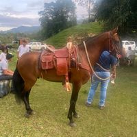 morales_murillo33