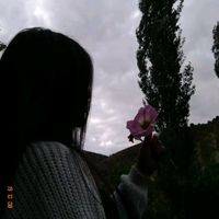 sil..08