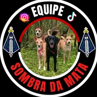 original sound - equipesombradamata