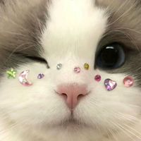 nontan_0120