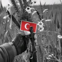 orijinal ses