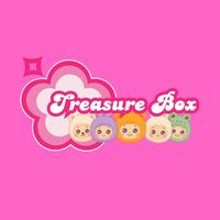 treasurebox501