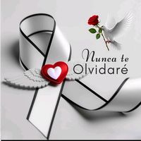 amoreshyg