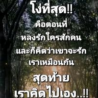 kir25295