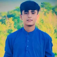 original sound - hamzagujjar_247