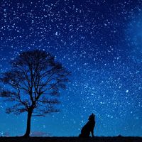 オリジナル楽曲 - 人生を支える言葉@名言
