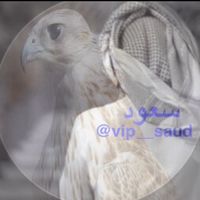 vip__saud
