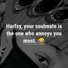 hafsybabe1