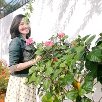 original sound - thuanhnguyen30385