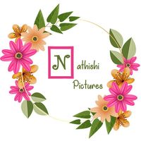 nathishipictures