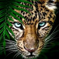 original sound - Marko Suki