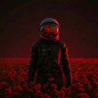 designer.free1