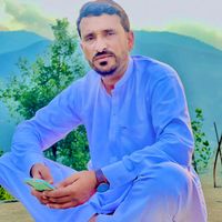 akhtarali4536