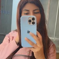 Minero soy