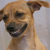 original sound - virtflamies