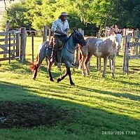 pablo.alexander.alex