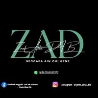 el_zad_organisation