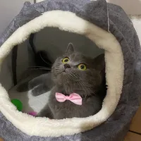 original sound - ustmelis