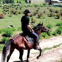 mehebbet.41
