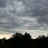 original sound - Sao Tai🌨 Scorpio ♏