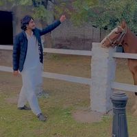 mehsammunawarbutt