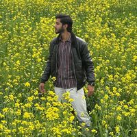 waleedmehar804