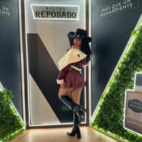 zaphirolive