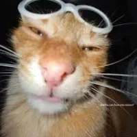 original sound - memogang666