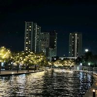 su_ivy80