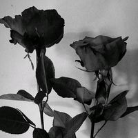 original sound - Kai.