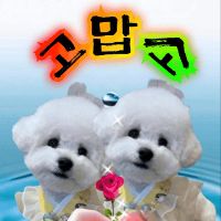 오리지널 사운드 - shin young ha