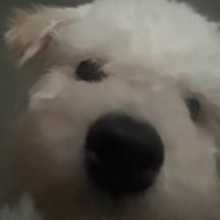 user85531490811474