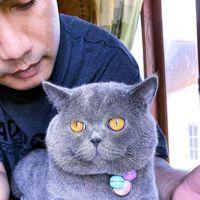 เสียงต้นฉบับ - ท่าต้องแข่งผมยอมแพ้