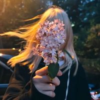 Follow me