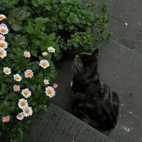 オリジナル楽曲 - つむぎ