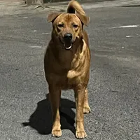 original sound - bio_asmr013