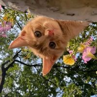 micky_1828