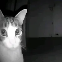 original sound - juan.gabriel.vallejo18