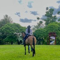 dayamoreira1
