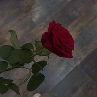 more_music14