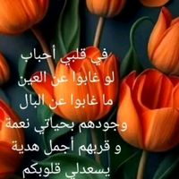 user0pli9kf55p