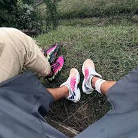 son original