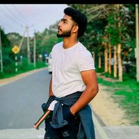 kd___dino___
