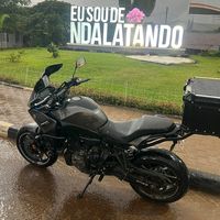 morenaice8