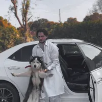 original sound - ali__qureshi37